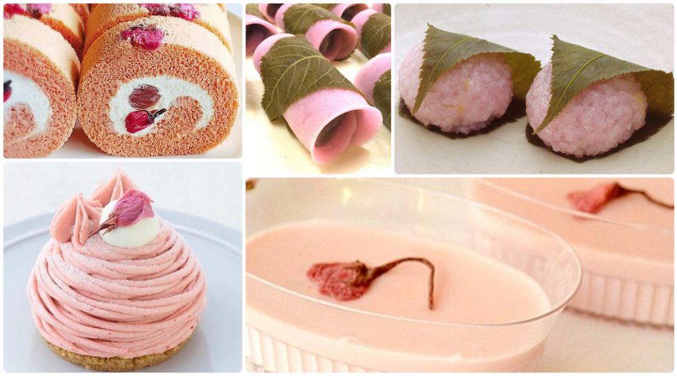 EDIBLE SAKURA Blossoms & Leaves A Taste of Culture