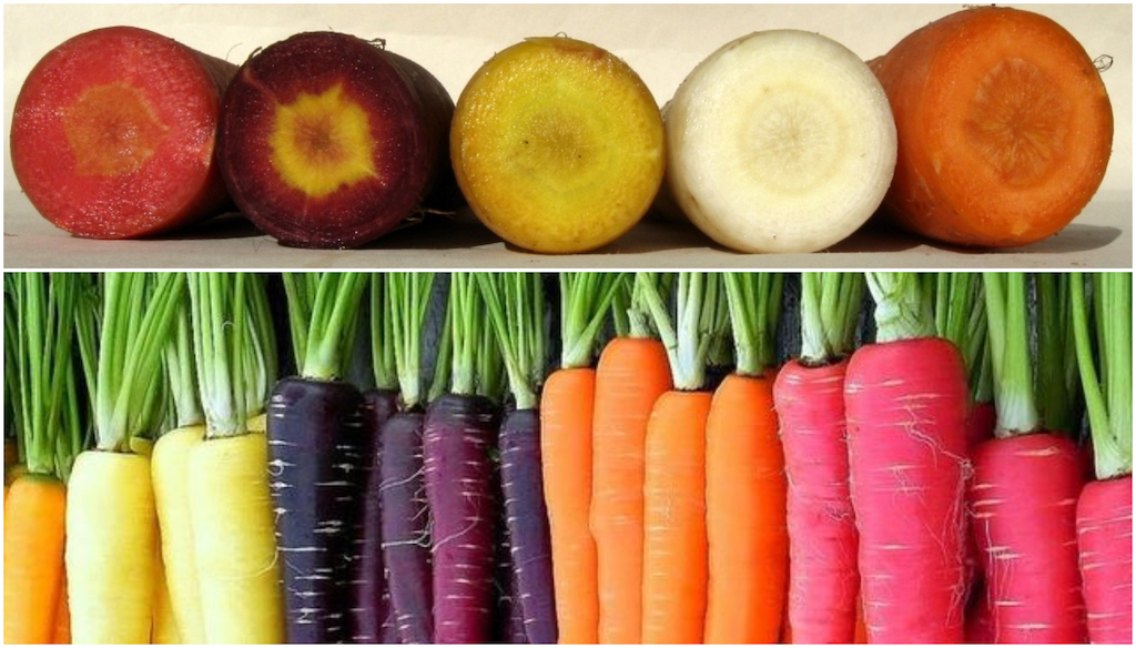 Colorful CARROTS
