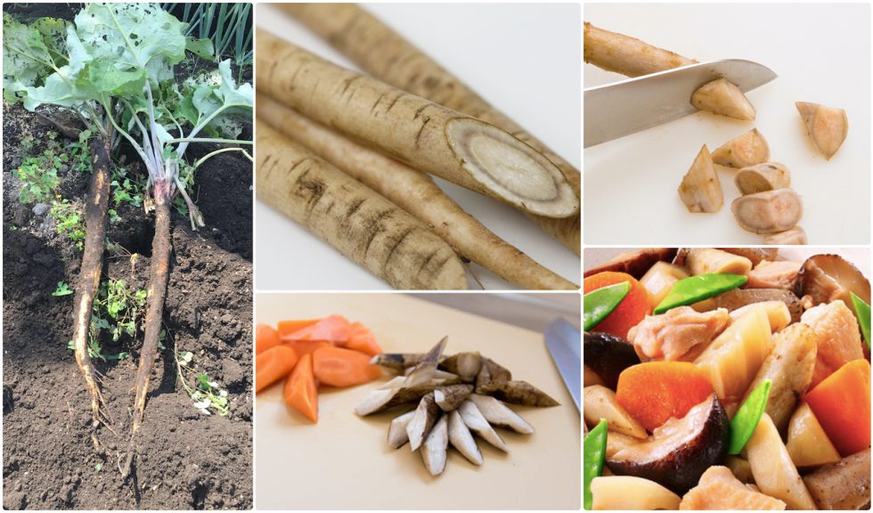 Project CUTTING & SLICING A Taste of Culture