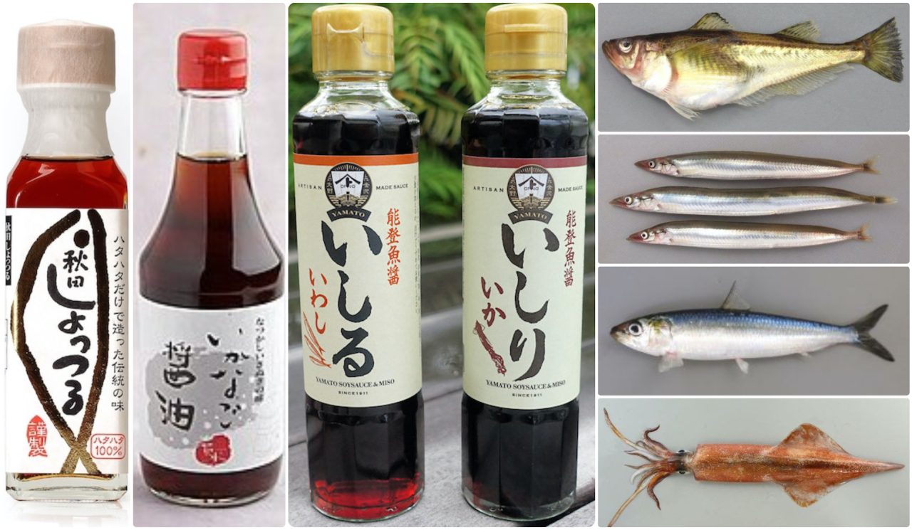 Funky Fish Sauces | A Taste of Culture