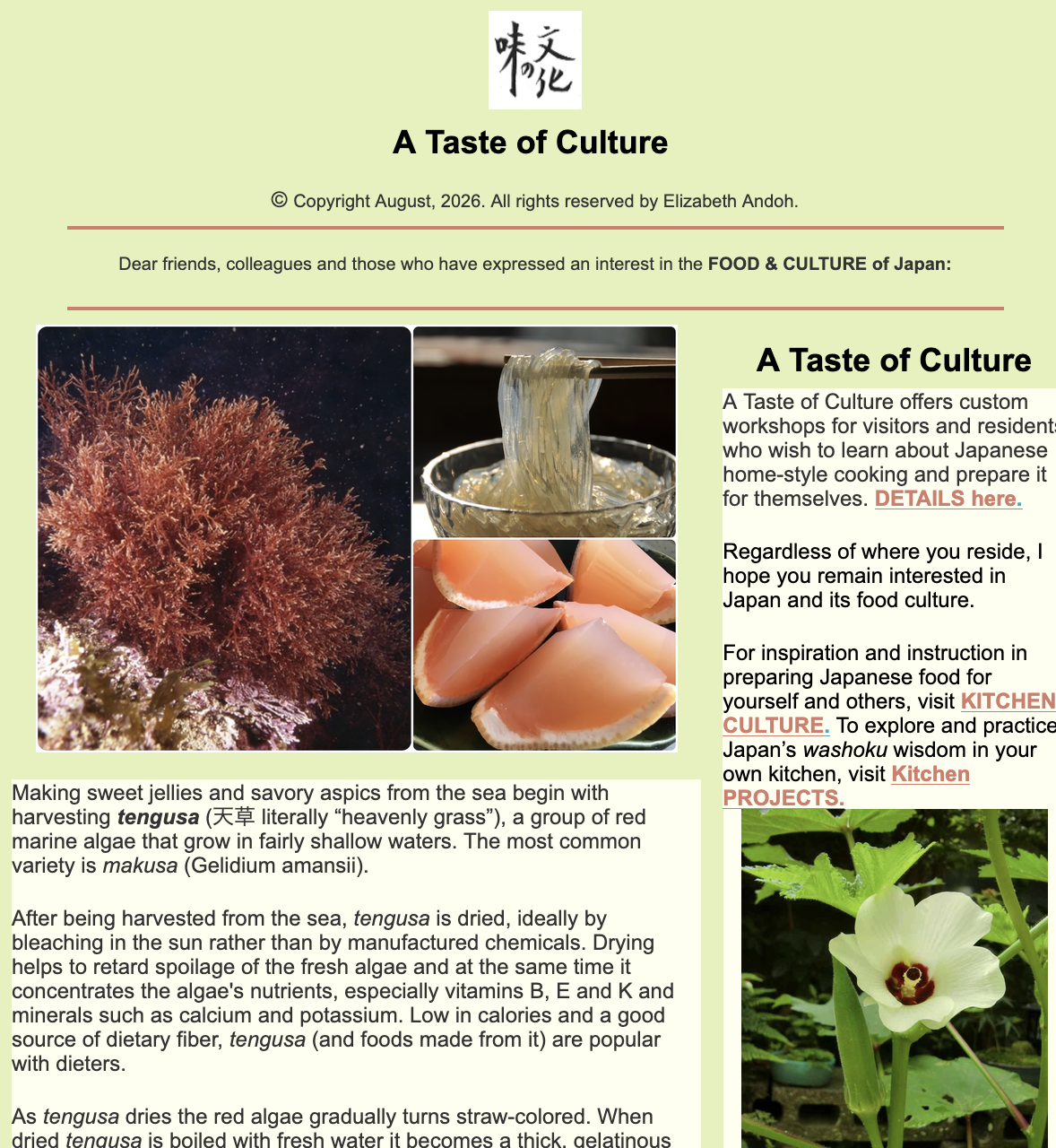 Aug 2026 newslet image tengusa