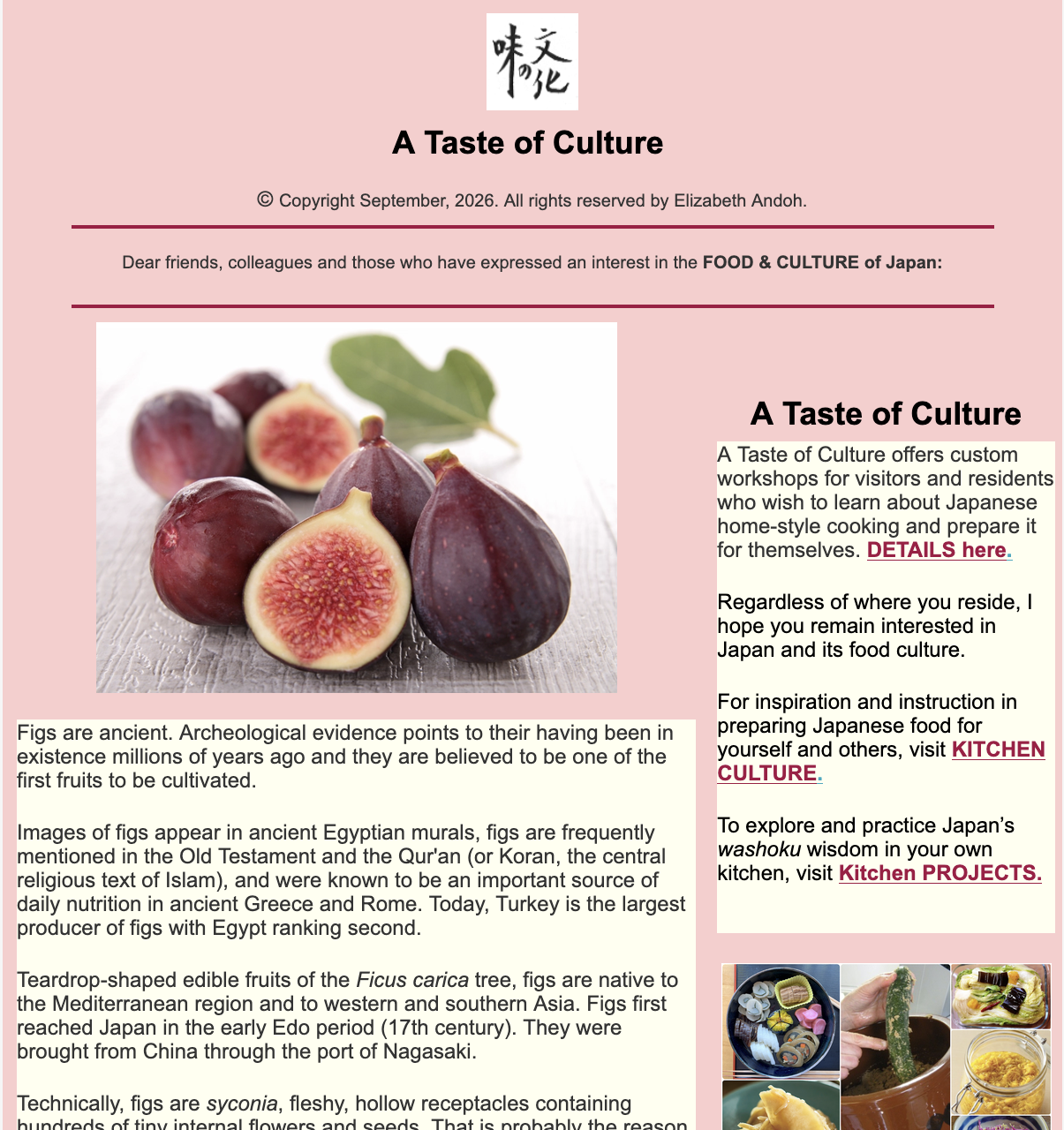 sept 2026 newslet image