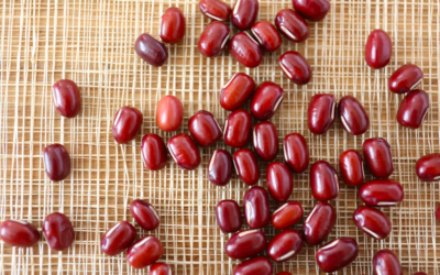 ADZUKI red beans