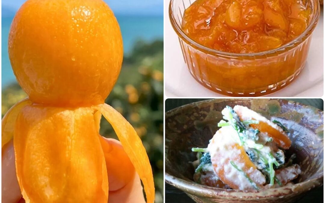 PROJECT Biwa (loquats)