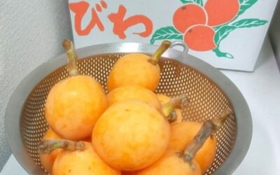 BIWA (loquats)