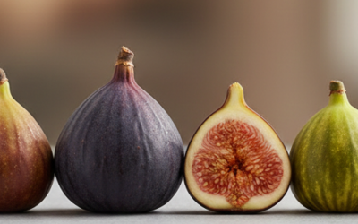 PROJECT Fig